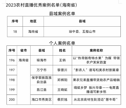 昌江县域个体电商直播案例入选天下2023乡村直播电商个体优良